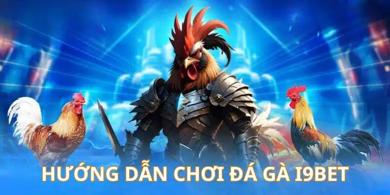 Quy trình cược chọi kê trực tuyến I9BET